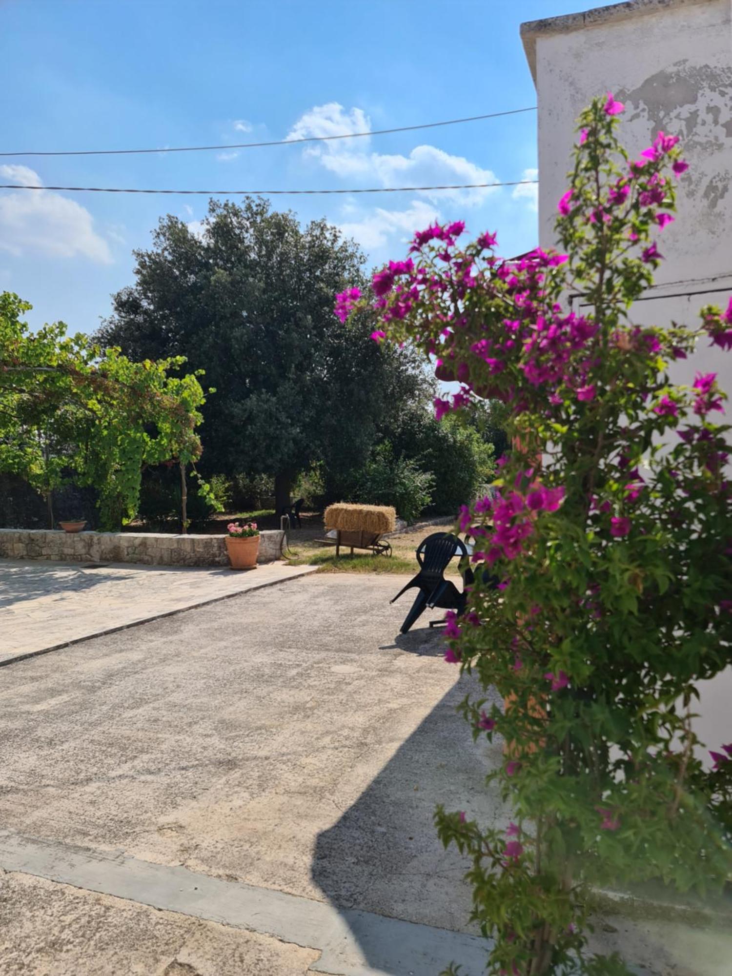 Masseria Gianca Чистернино Екстериор снимка